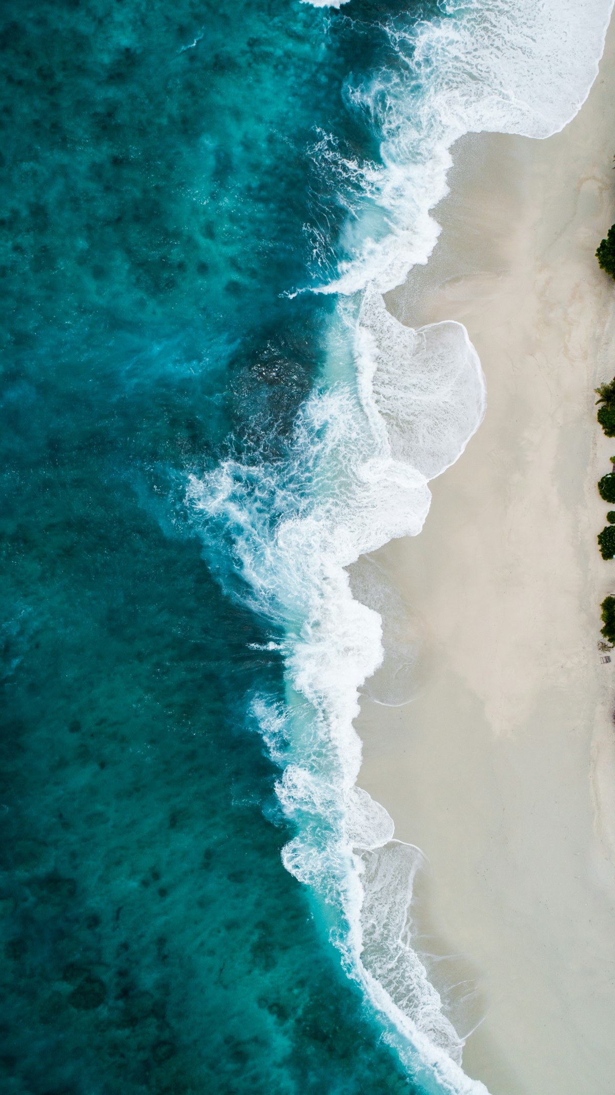 Wave
