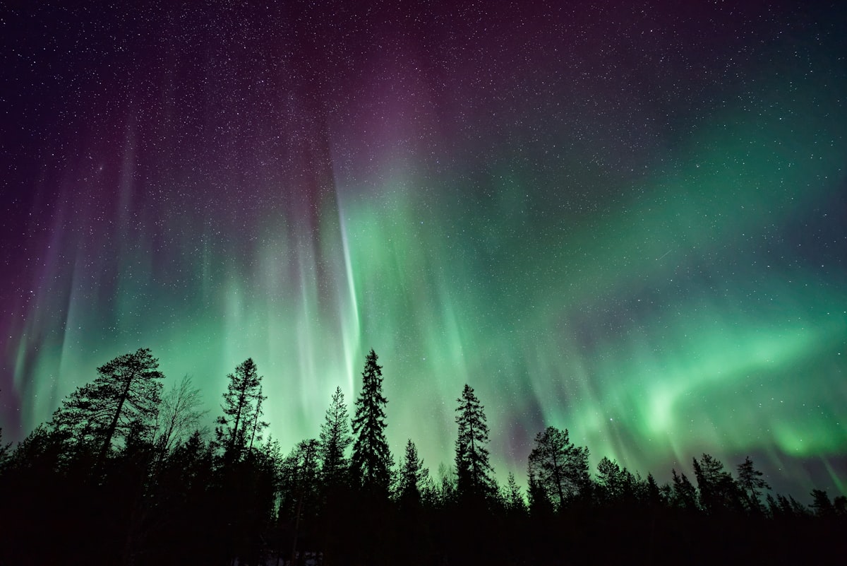 Aurora